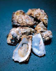 Gigas Oysters